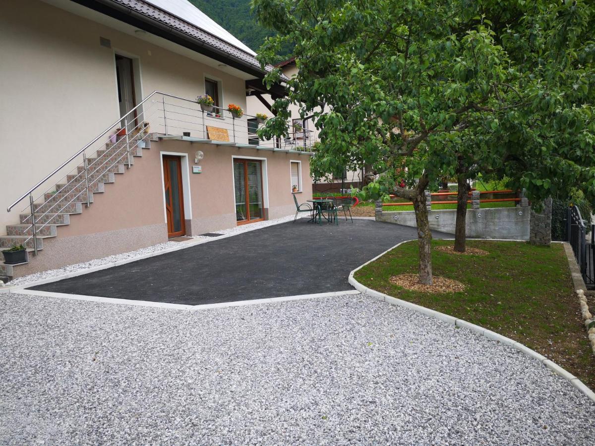 Apartments Ole โทลมิน ภายนอก รูปภาพ